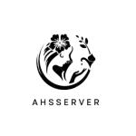 ahsserver.com icon