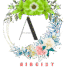 aidgist.com icon