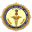 aiimspatna.edu.in icon
