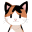 aiolia.net icon