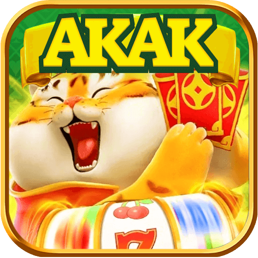 akaknavi.com logo
