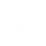alaskaseafood.com.br icon