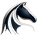 alboraq-syr.com icon