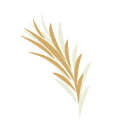 alecrimvariedades.com.br icon