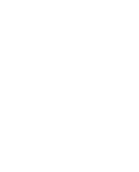 alektumgroup.com icon