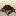 alexanderbishop.com icon