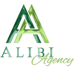 alibi-profi.de icon