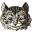 alice-in-wonderland.net icon