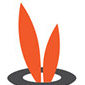 alicewondermarketing.com icon
