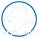 alienvoip.com logo