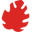 alliance-preservation-forets.org icon