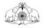 allkeralahotels.net icon