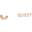 allquestlimo.com icon