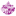 alveolashop.hu icon