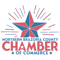 alvinmanvelchamber.org icon