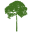 amazonaid.org icon