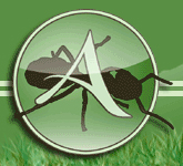 ameisenforum.de icon