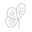 amendoeira.com.br icon