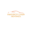 americacashadvance.org icon