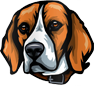 americanbeagleclub.com icon