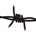 americangulag.org icon