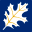 americanhardwood.org icon
