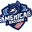 americanraccoon.com icon