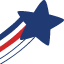 americanriskins.com icon