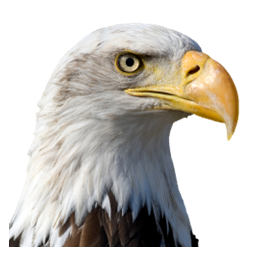 americansavingslife.com icon