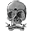 americansnipers.org icon