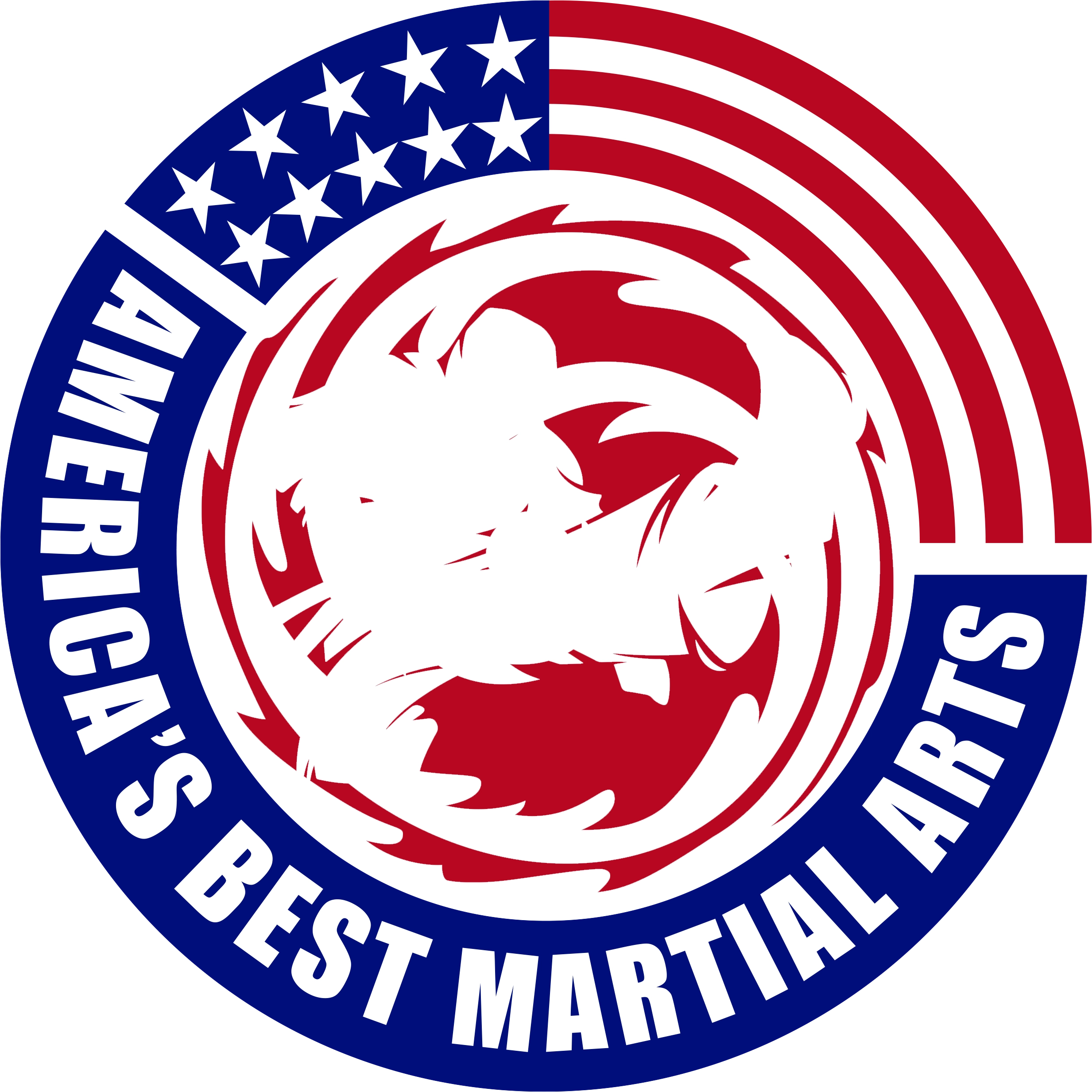 americasbestmartialarts.com icon