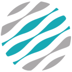 ami.org icon