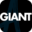amitgiant.com icon