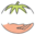 ampleharvest.org icon