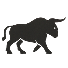 amsterdaminvestmentclub.com icon