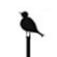 amylv.com icon