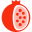anardoni.com icon