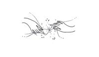 anastasiacreative.com icon