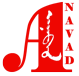 anavad.com icon