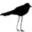 andreasparacio.com icon