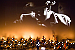 andrebellmont.com icon