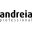andreiaprofessional.com icon