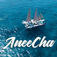 aneecha.com icon