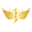 angelshandsmassage.co.uk icon