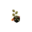 angielskimyway.edu.pl icon