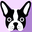 animal-jewelry.com icon