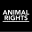 animalrights.nl icon