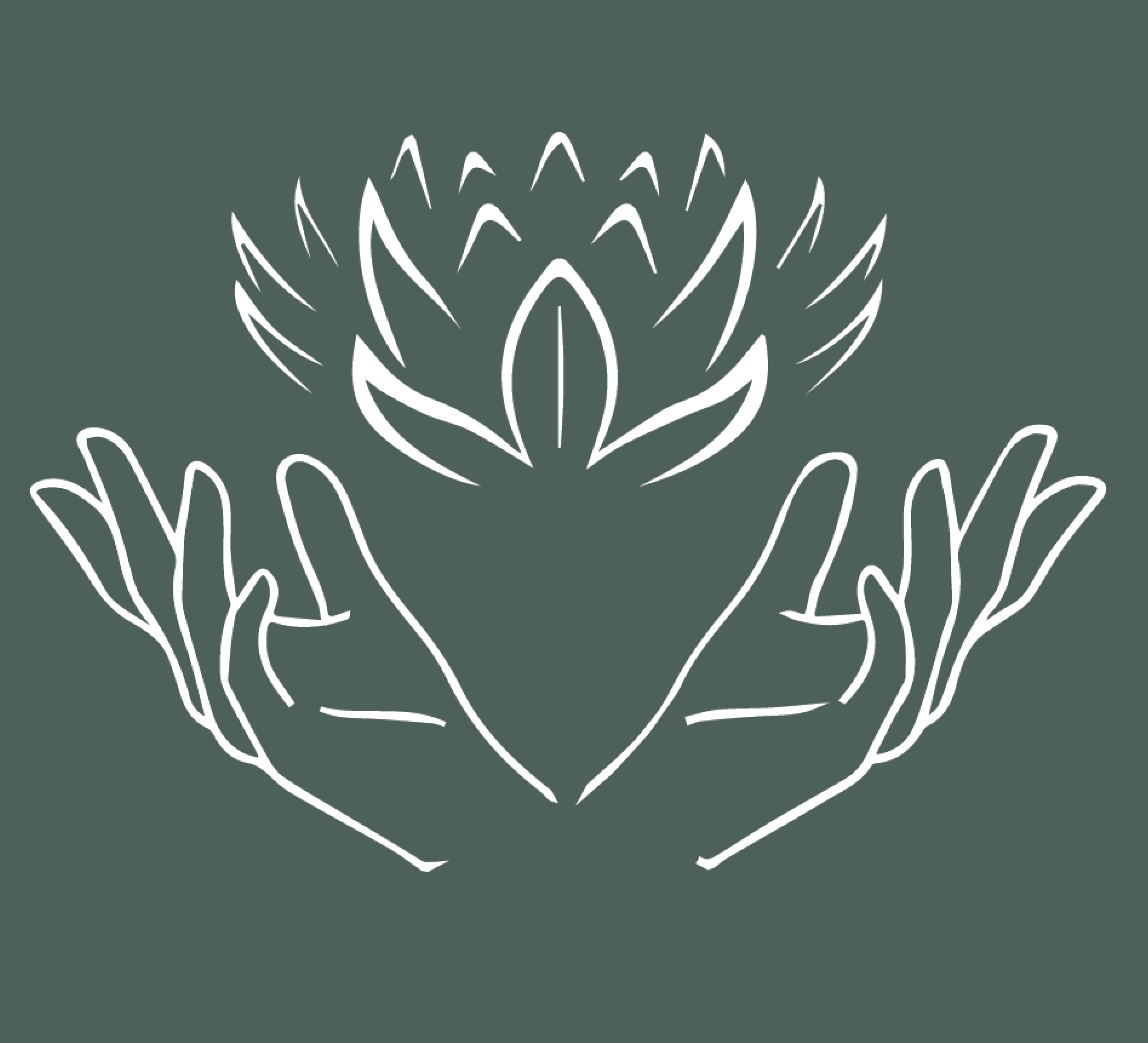 anixihealth.com icon