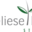 anneliese-brost-stiftung.de icon