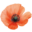 annschillebeeckx.be icon